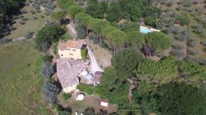 Set in a large olive grove, the property features a swimming pool and two guest buildings, surrounded by greenery.