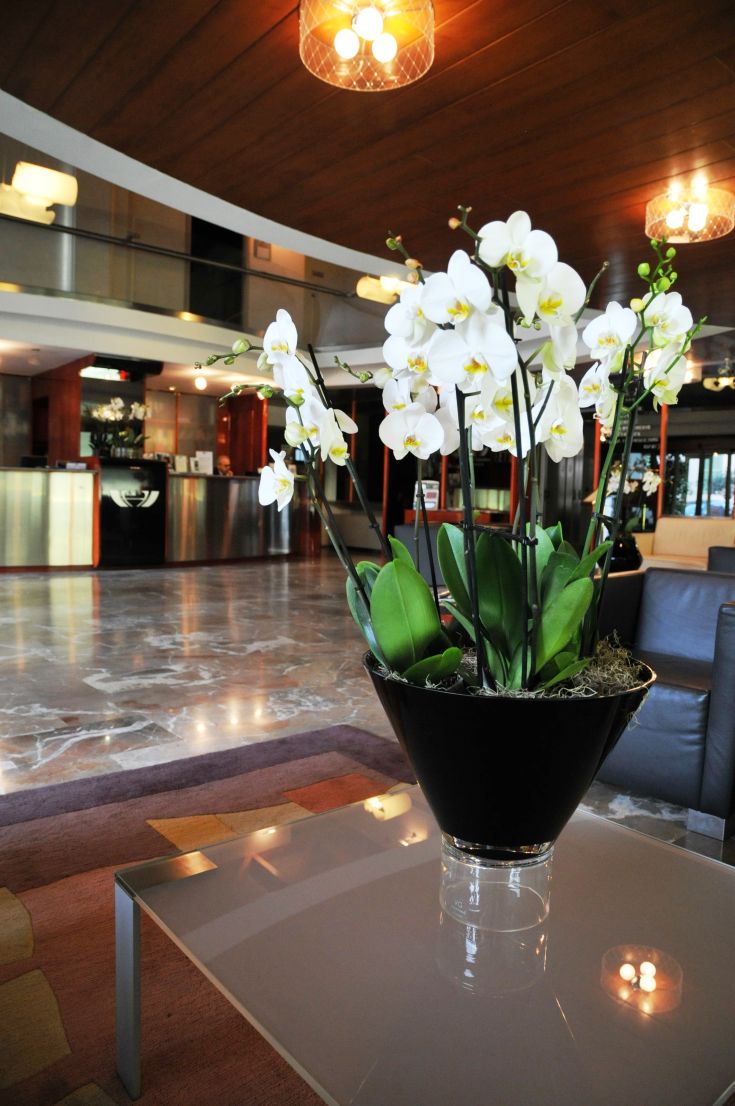 Interior of a palace, featuring a hall decorated with white orchids and a simple style.