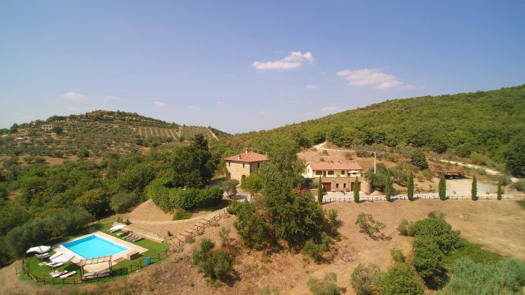 Agriturismo immerso in un paesaggio di olivi e vigneti, dotato di una piscina in un contesto rilassato.