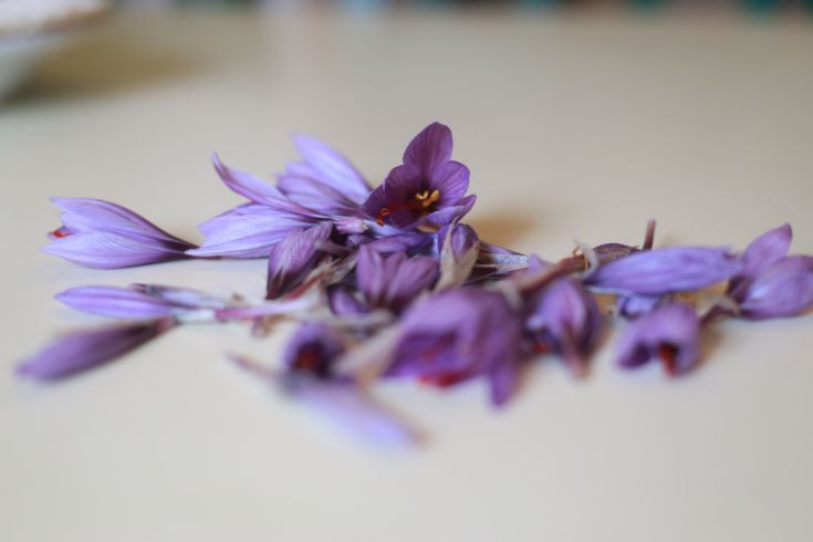 Petali di fiori viola sistemati su un tavolo, attirano l'attenzione per la loro semplice bellezza.