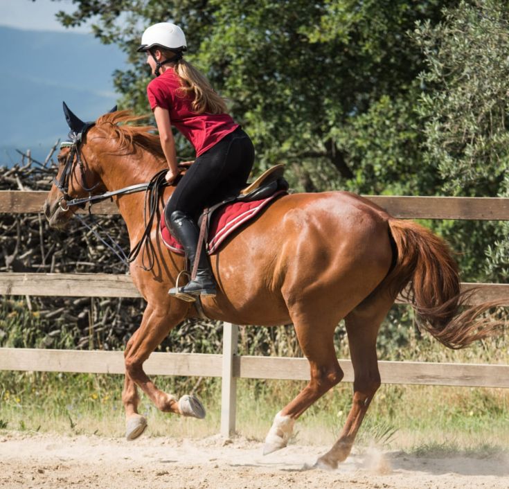 Una giovane ragazza monta un cavallo in un ampio campo verde, pronta per una rilassante passeggiata all'aperto.