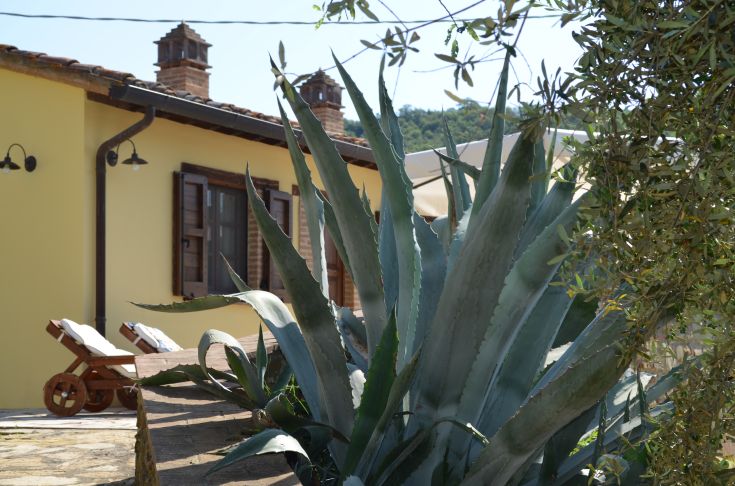 Agriturismo immerso nel verde, con panorama rilassante, perfetto per momenti di tranquillità e attività nella natura.