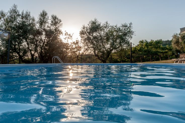 Una piscina immersa nel verde, circondata da ulivi, si staglia sotto il cielo sereno del tramonto.