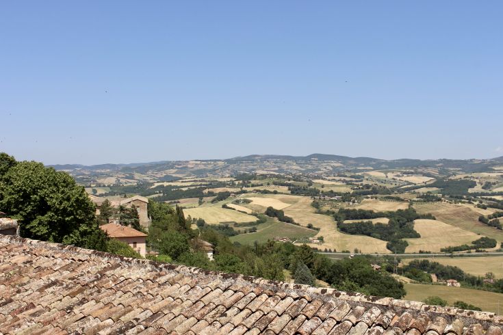 Szenische Hügel in Umbrien, die lebendige grüne und goldene Felder zeigen, typisch für die schöne Landschaft.
