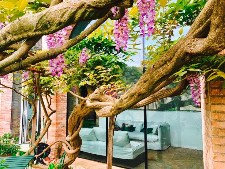 Struttura con piante fiorite che delimitano l'ingresso di un soggiorno luminoso e accogliente.