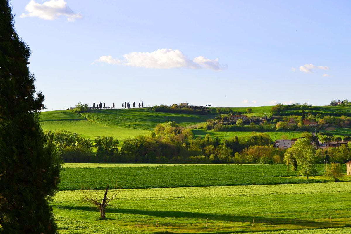 Scena della campagna umbra, caratterizzata da colline verdi e case tradizionali in lontananza.