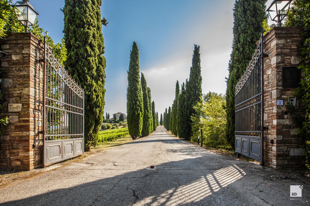 Viale affiancato da alberi di cipresso che porta a un rinomato centro di accoglienza.