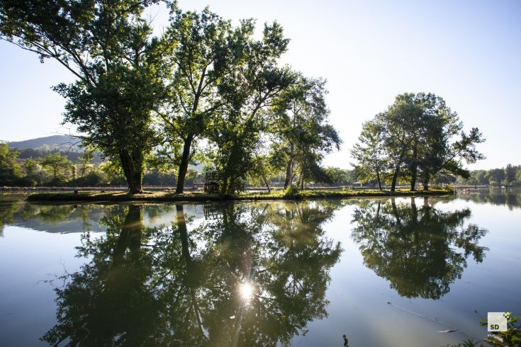 A serene river landscape surrounded by trees reflecting on the lake's water.