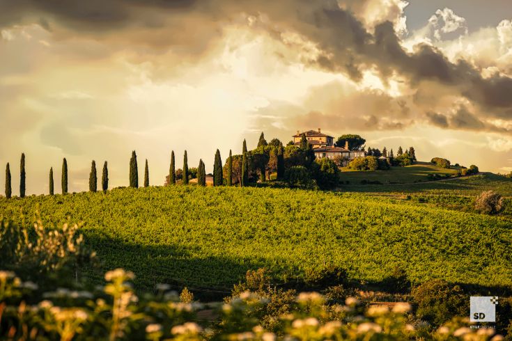 A scene of the Umbrian countryside featuring cypress trees and a large building on a hill.