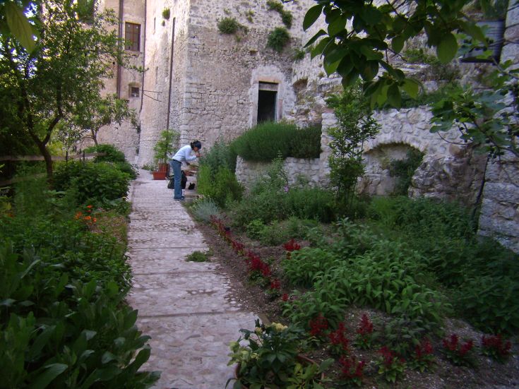 Ein ruhiger Garten mit grünen Pflanzen und Blumen, der eine friedliche natürliche Umgebung bietet.