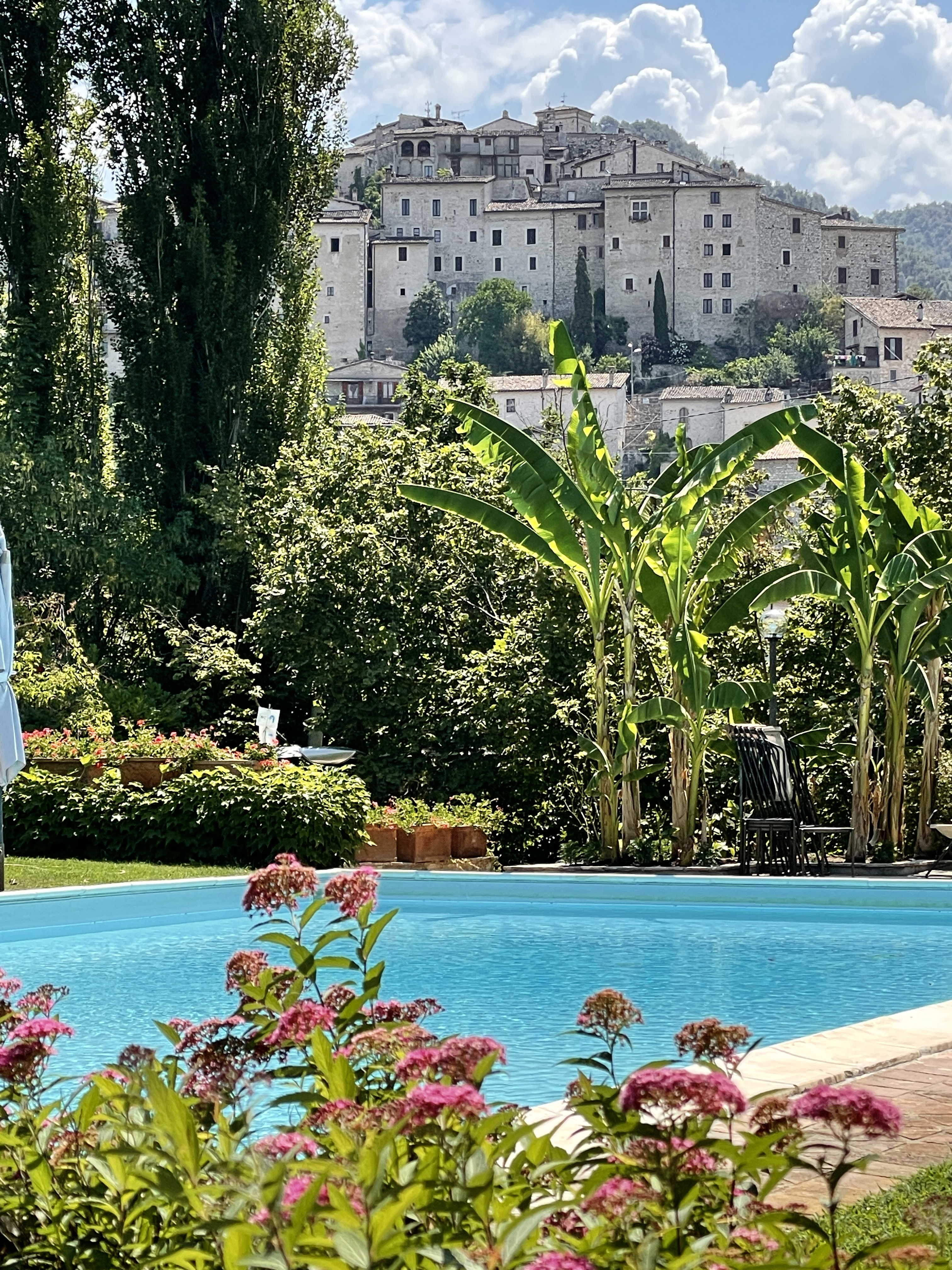 Scena di una piscina immersa nel verde, con un borgo storico visibile sullo sfondo.