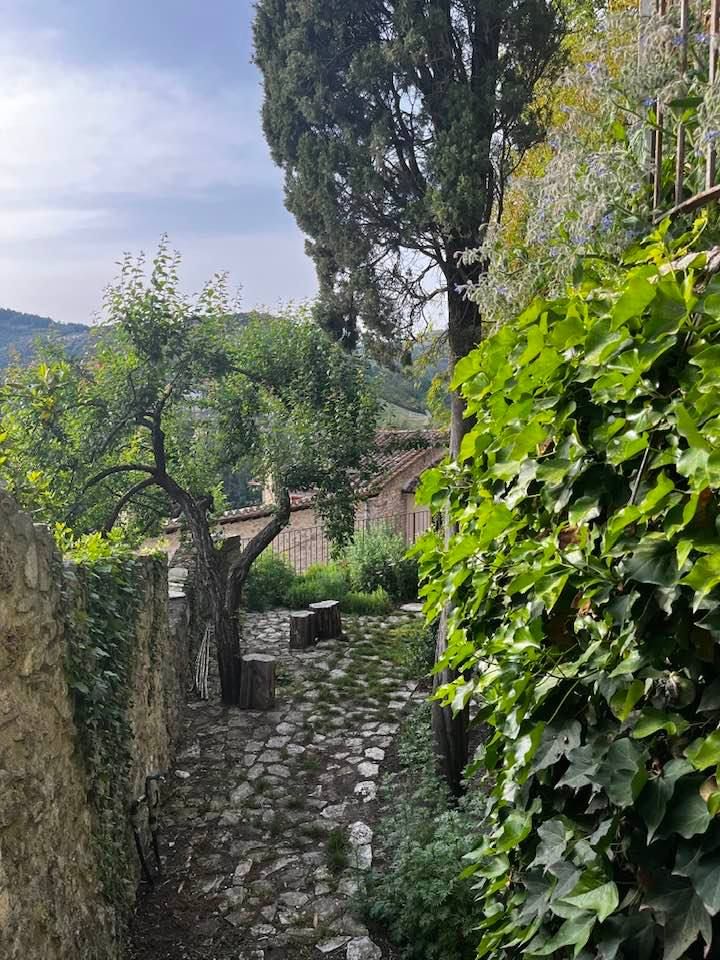 Ein Steinweg, umgeben von Pflanzen, der eine ruhige und natürliche Atmosphäre bietet.