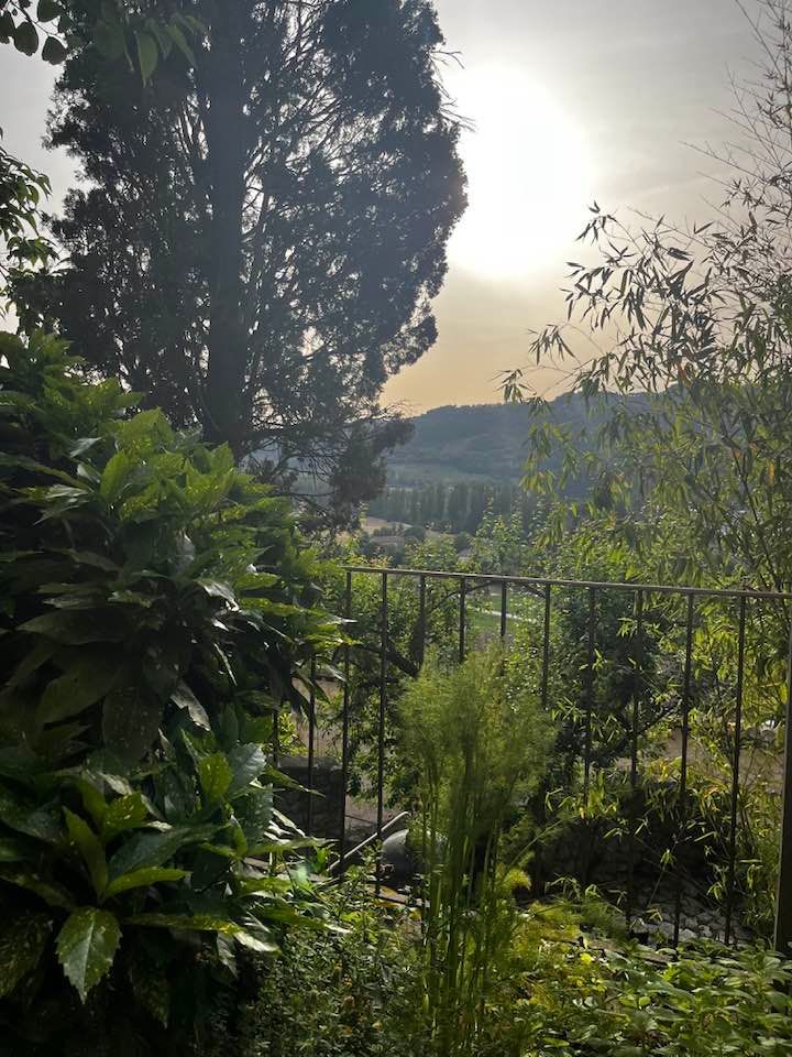 Eine ruhige Naturszene mit Sonnenlicht, das durch die Bäume filtert.