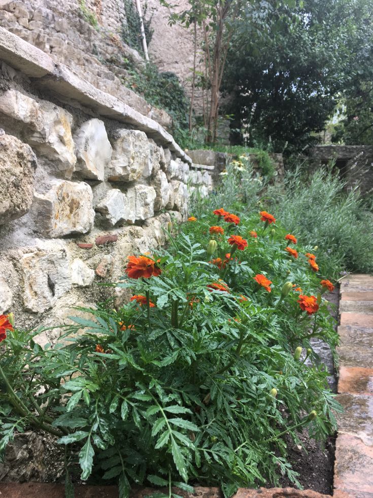 Eine Gartenecke mit orangenen Blumen, die eine Steinmauer schmücken.