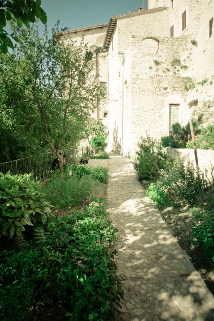 Weg umgeben von Vegetation und alten Gebäuden im umbrischen Dorf, perfekt für ruhige Spaziergänge und Momente der Entspannung.