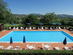 A spacious infinity pool surrounded by sunbeds and umbrellas, nestled in greenery with a view of the hills.