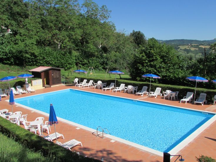 A swimming pool surrounded by greenery, equipped with umbrellas and loungers for comfortable relaxation.