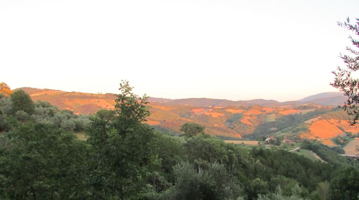 Hilly sunset scene with lush green vegetation and gentle slopes.