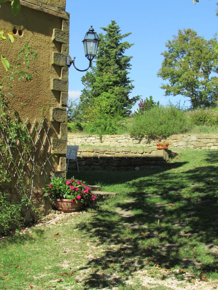 A peaceful natural corner with blooming plants, a streetlight, and a green landscape.