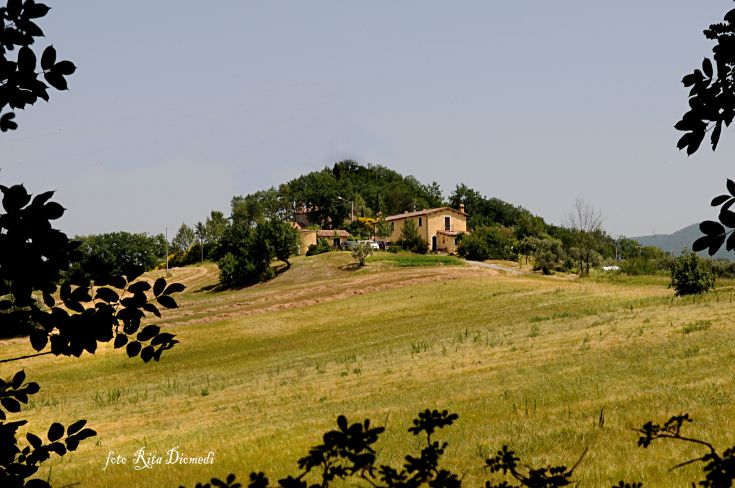 Casale ristrutturato situato nelle colline umbre, ideale per momenti di relax immersi nel verde.