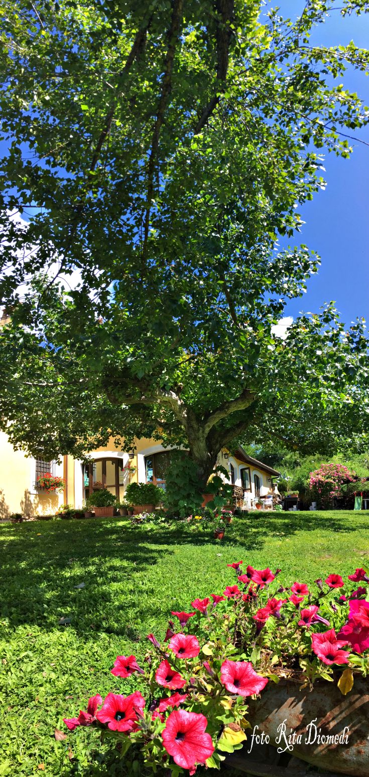 Un agriturismo immerso nel verde, con giardini fioriti, perfetto per una pausa tranquilla e rilassante.