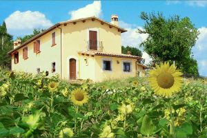 Agriturismo con ampia casa gialla immersa in un campo di girasoli e circondata da vegetazione. Perfetto per una pausa nella natura.