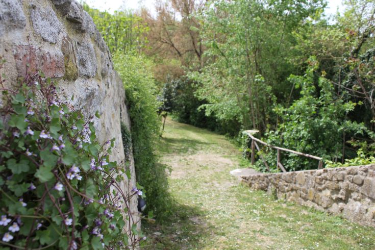 Un sentiero tra il verde, circondato da alberi e fiori, con un muro di pietra che lo incornicia.