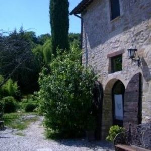 Angolo di un agriturismo circondato da ulivi, ideale per una pausa immersi nella natura.