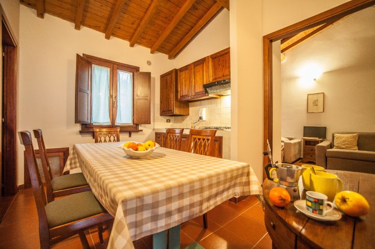 Rustic kitchen and living room well-furnished with wooden furniture and simple decorations.