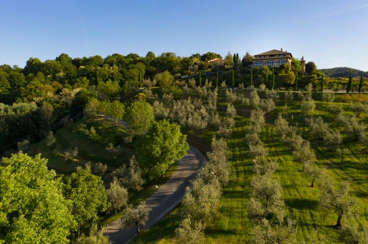 A hillside landscape with olive groves and a villa overlooking the surrounding countryside.