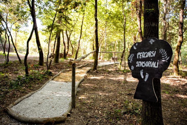 Natural paths featuring trees and serene environments, ideal for a relaxing stroll.