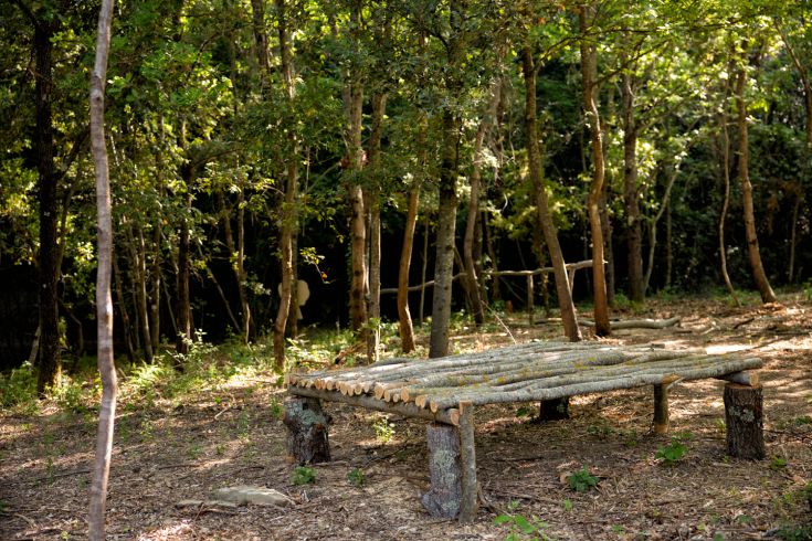 A simple wooden shelter surrounded by trees, perfect for enjoying peaceful moments in nature.