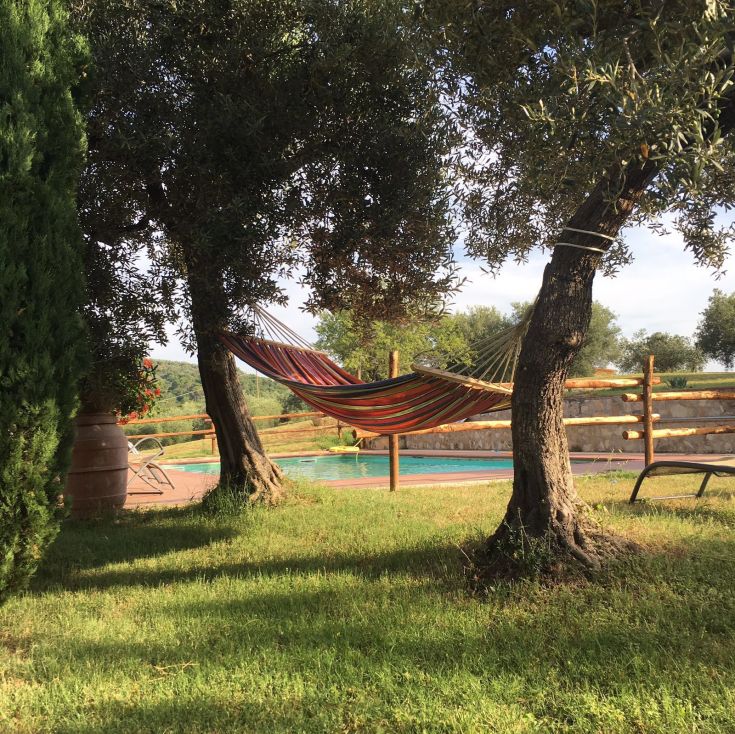 A vibrant hammock strung between two trees near a pool surrounded by lush greenery.
