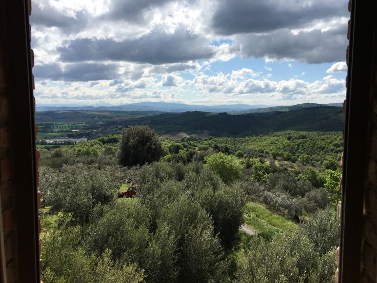 A view of the Umbrian countryside, featuring olive groves on lush green hills.