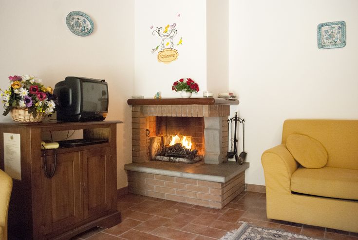 Salotto semplice con camino, TV e piante, ideale per momenti di relax.