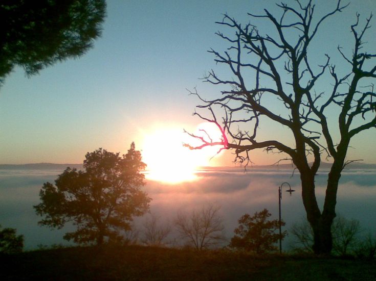 Un'alba tranquilla si riflette nel paesaggio, ornato da alberi e nuvole che velano il cielo.