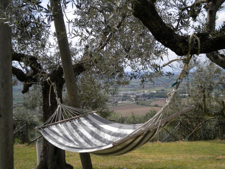 Amaca sistemata tra gli ulivi, offre un'atmosfera tranquilla e rilassante, ideale per godere delle colline umbre.