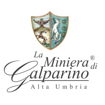 Titolo: LA MINIERA DI GALPARINO