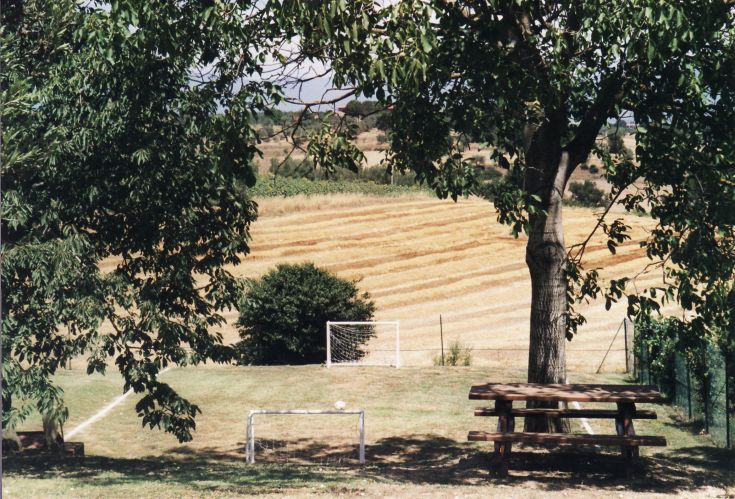 Fußballfeld umgeben von Bäumen und Weizenfeldern, mit einer ruhigen und natürlichen Atmosphäre.
