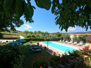 Spazio esterno con piscina e giardino verdeggiante, incorniciato dalle dolci colline umbre. Ideale per momenti di relax.