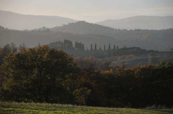 A serene scene of the Umbrian hills at sunset, featuring cypress trees and lush green vegetation.