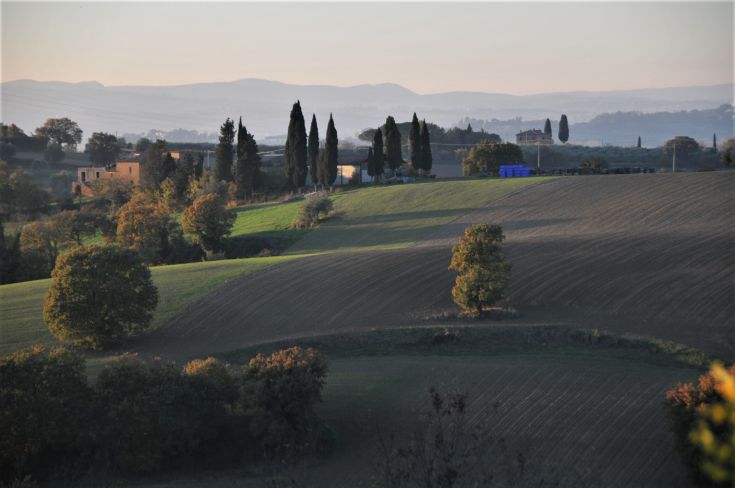 A serene landscape of the Umbrian hills, with trees and cultivated fields visible in the distance.
