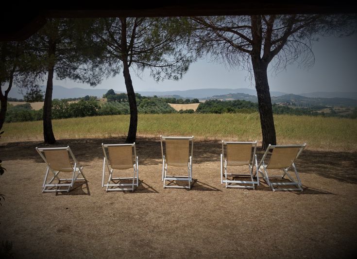 Five lounge chairs under the shade of trees, overlooking green hills and a clear sky.
