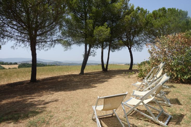 A relaxing area with deck chairs under trees, perfect for unwinding in the surrounding nature.