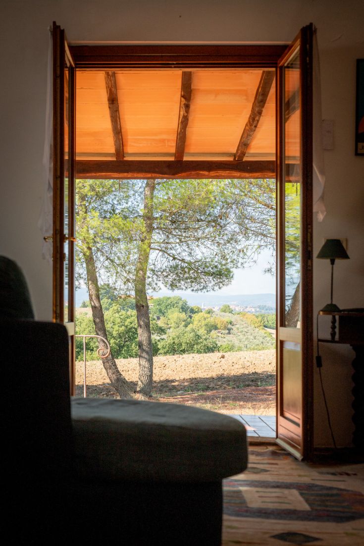 A serene scene viewed from an open door, featuring a landscape framed by trees and green meadows.