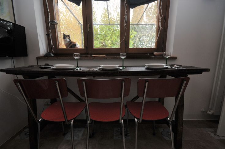 A well-set table with dishes, a view of green landscape, and a curious cat near the window.