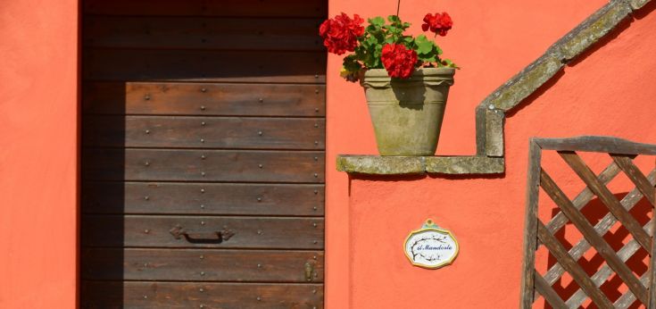 Una porta in legno con gerani rossi posizionati accanto, su un muro di colore arancione, creando un'atmosfera semplice e accogliente.