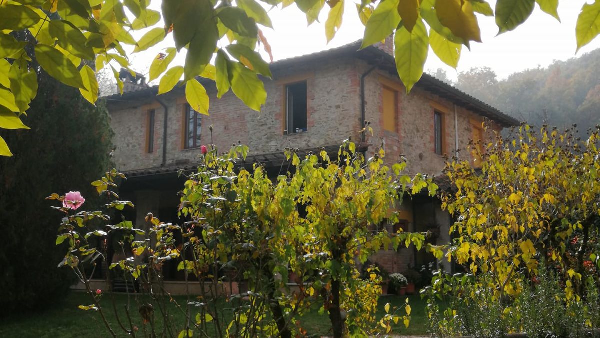 Un edificio immerso nel verde, circondato da alberi e fiori, ideale per un momento di relax.