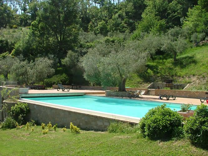 A pool surrounded by olive trees and forests, perfect for outdoor relaxation moments.