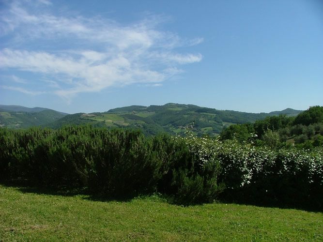 Scene of Umbrian hills with lush greenery and a clear sky.